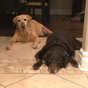 Meet your Posher, Lindsay